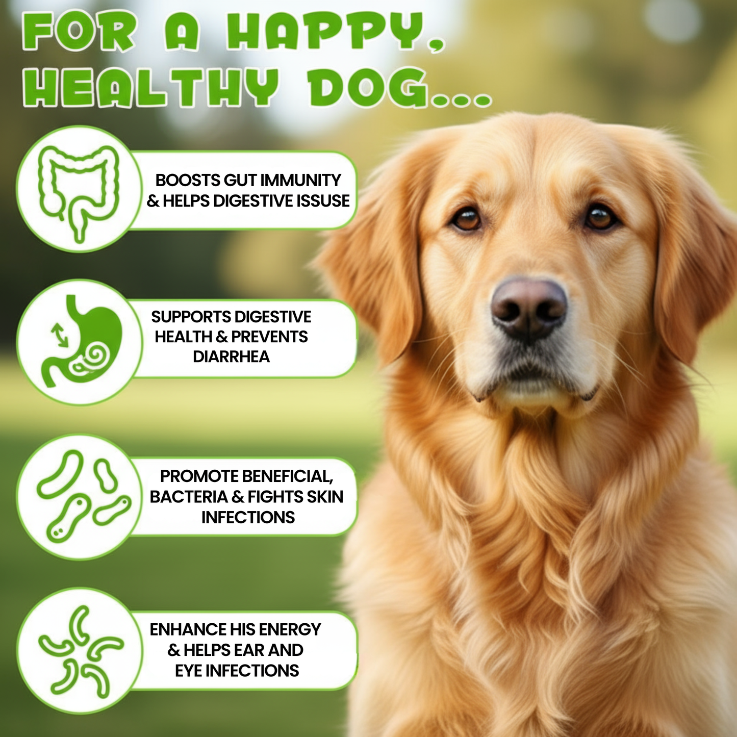 PawBotics™ Anit-Biotics For Dogs