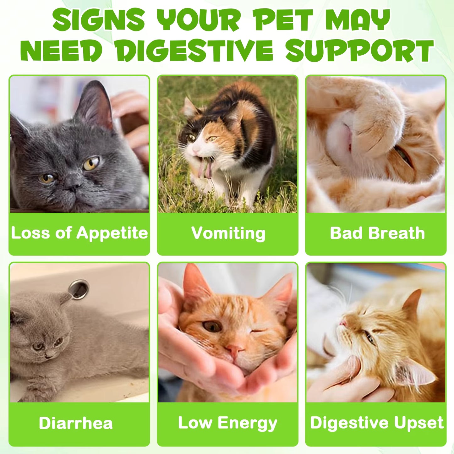 PawBotic™ Probiotic For Cats